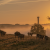 amazing shot farmland with cows sunset
